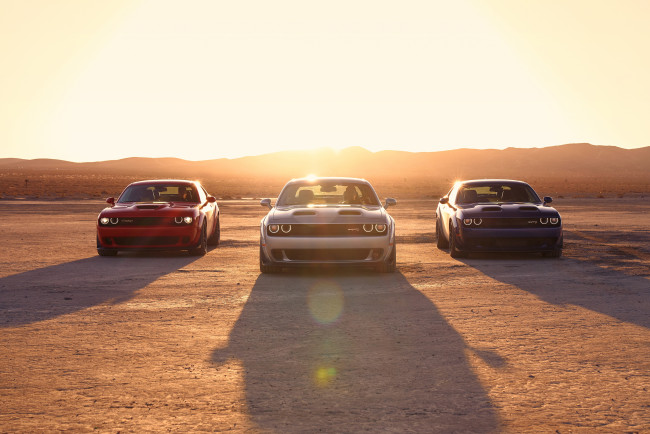 Обои картинки фото автомобили, dodge, challenger, sunset, srt, hellcat