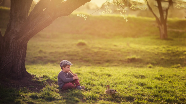 Обои картинки фото разное, дети, мальчик, дудочка, дерево, лужайка