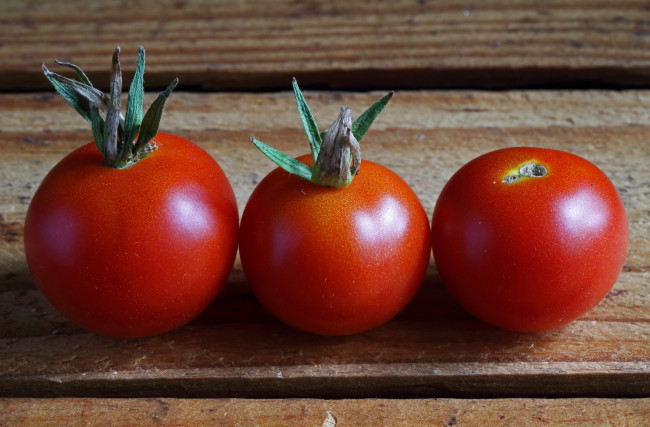 Обои картинки фото еда, помидоры, томаты, трио