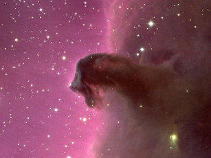 Картинка туманность конская голова космос галактики туманности