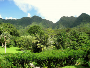 Картинка lyon arboretum oahu hawaii природа парк сад пруд растения