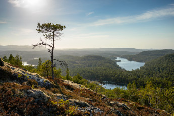 Картинка hitra norway природа пейзажи хитра норвегия леса озёра дерево склон панорама