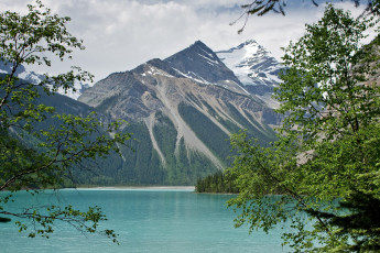 Картинка природа горы ветки вершина вода