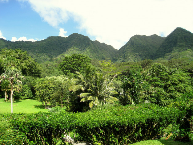 Обои картинки фото lyon, arboretum, oahu, hawaii, природа, парк, сад, пруд, растения