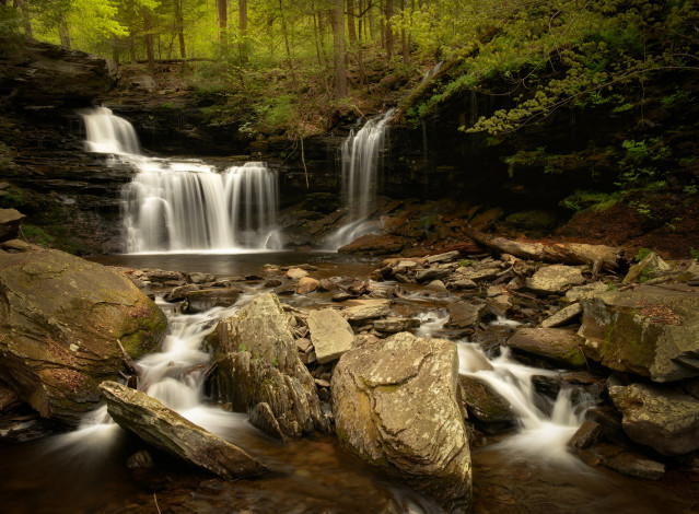 Обои картинки фото ricketts, falls, glen, state, park, природа, водопады, rb, pennsylvania, река, лес, камни