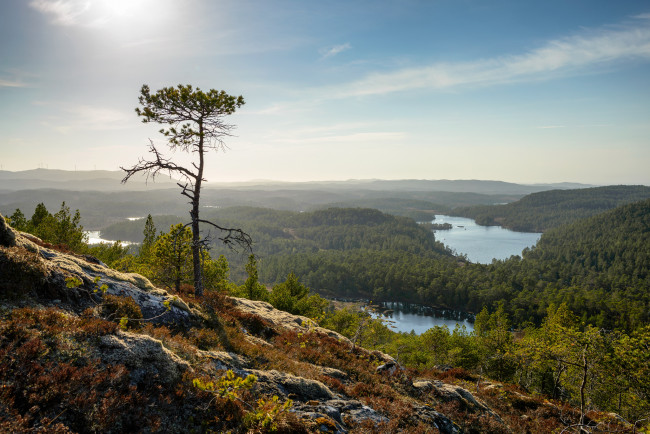 Обои картинки фото hitra, norway, природа, пейзажи, хитра, норвегия, леса, озёра, дерево, склон, панорама