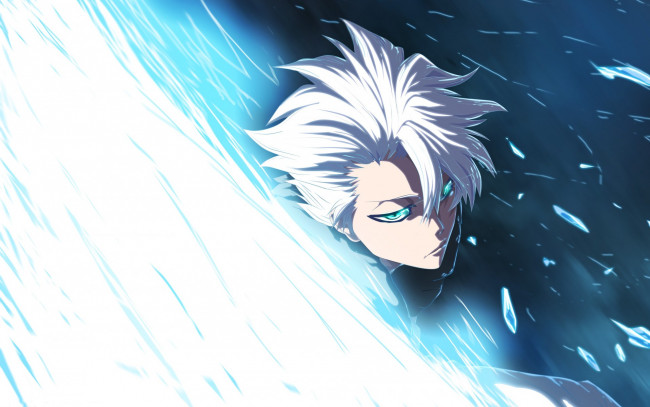 Обои картинки фото аниме, bleach, toshiro, hitsugaya, shinigami, art, мужчина