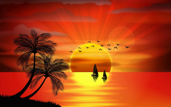 Обои картинки фото векторная графика, природа , nature, море, тропики, птицы, силуэт, palms, tropical, paradise, island, sea, sunset, остров, пальмы, закат