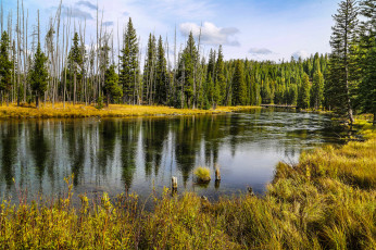 Картинка природа реки озера лес река