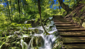 Картинка природа водопады ступеньки деревья вода потоки