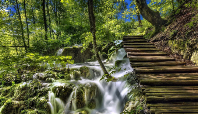 Обои картинки фото природа, водопады, ступеньки, деревья, вода, потоки