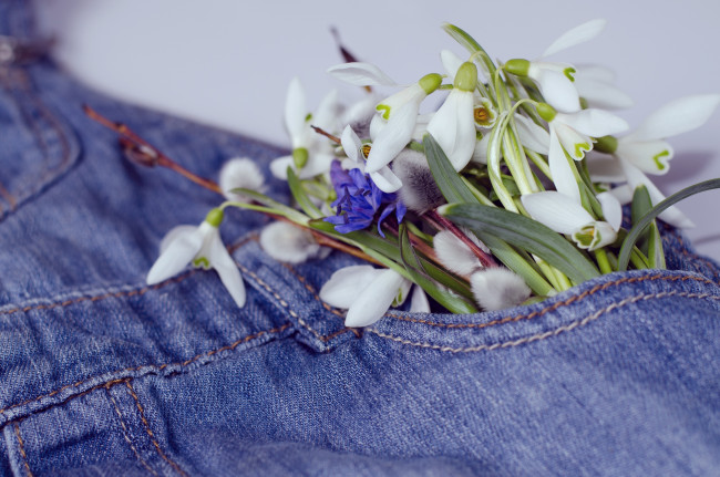 Обои картинки фото цветы, разные вместе, джинсы, весна