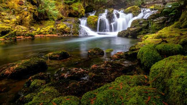 Обои картинки фото curly creek, skamania county, washington, природа, водопады, curly, creek, skamania, county