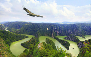 Картинка природа реки озера горы горная река горный лес орел