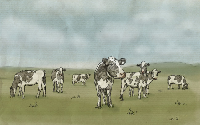 Обои картинки фото рисованные, животные, коровы, на, лугу