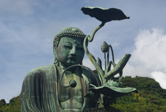 Картинка разное религия лотос будда