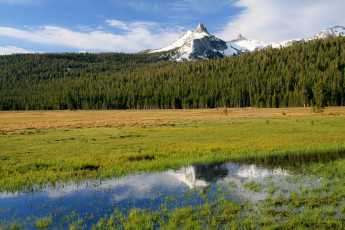 Картинка природа реки озера cathedral peak yosemite usa california