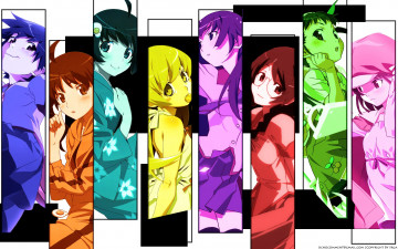 Картинка аниме bakemonogatari nisemonogatari araragi+karen araragi+tsukihi sengoku+nadeko hanekawa+tsubasa hachikuji+mayoi kanbaru+suruga oshino+shinobu senjougahara+hitagi девушки