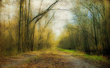 Картинка рисованные graham gercken дорога природа лес
