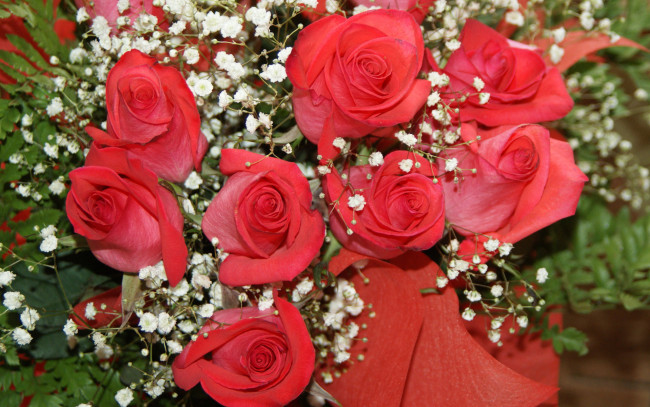 Обои картинки фото цветы, розы, папоротник, гипсофила