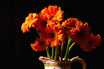 Картинка цветы герберы букет оранжевый