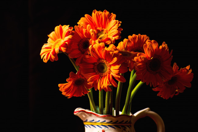 Обои картинки фото цветы, герберы, букет, оранжевый