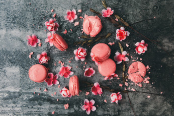 Картинка еда макаруны выпечка сладость пирожное цветы