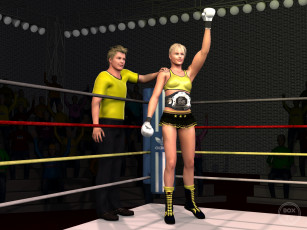 Картинка 3д+графика спорт+ sport девушки бокс ринг фон взгляд
