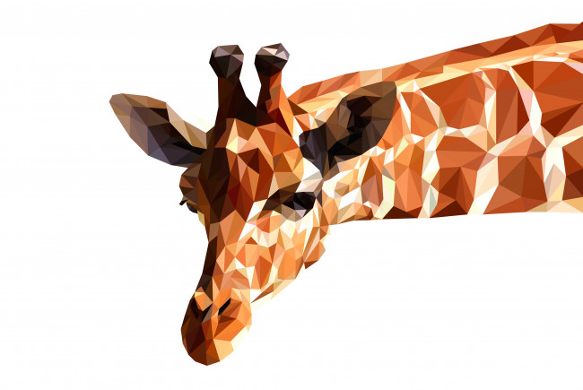 Обои картинки фото векторная графика, животные , animals, жираф