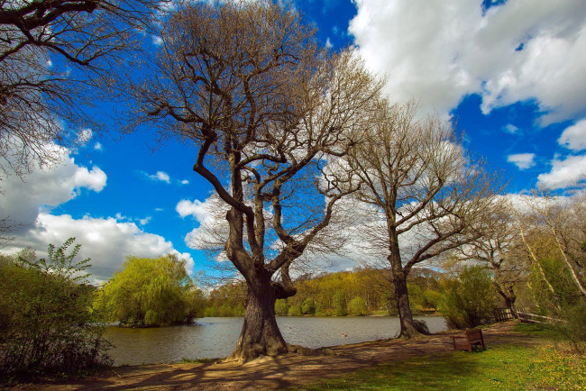 Обои картинки фото природа, реки, озера, река, облака, деревья, весна