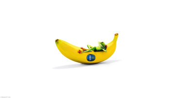 обоя бренды, chiquita, банан, лягушка