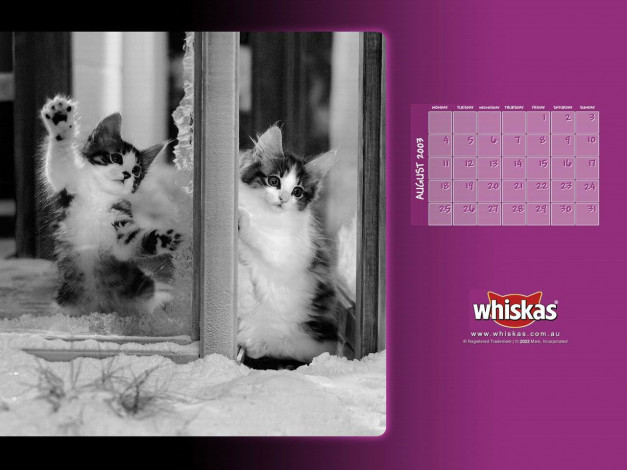 Обои картинки фото бренды, whiskas