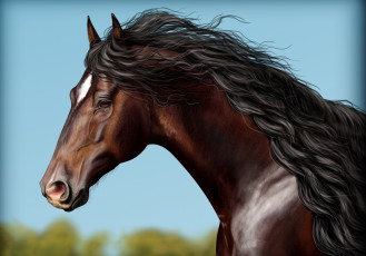 Картинка рисованные животные конь
