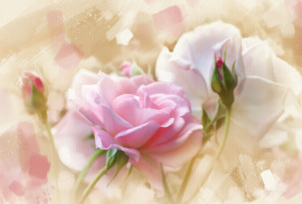 Картинка рисованные цветы роза
