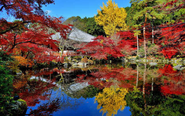 Обои картинки фото природа, парк, осень, багрянец, листья, отражение, деревья, пруд, дом, сад, Япония