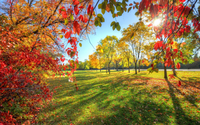 Обои картинки фото природа, восходы, закаты, осень, листья, деревья, небо, парк, аллея
