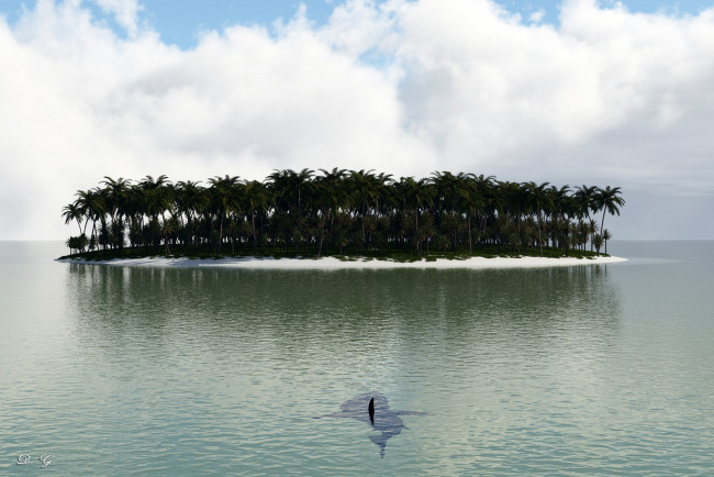Обои картинки фото 3д графика, природа , nature, пальмы, остров, море