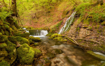 Картинка природа водопады мох камни поток осень лес