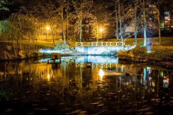 Картинка Чехия природа парк здания деревья мост водоем