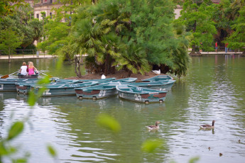 Картинка корабли лодки +шлюпки деревья пальмы водоем утки люди