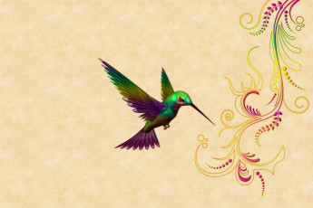 Картинка векторная+графика животные+ animals колибри