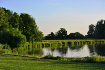Картинка природа реки озера озеро деревья лето