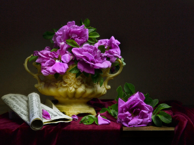 Обои картинки фото цветы, розы, ноты, ткань, ветки, шиповник, ваза