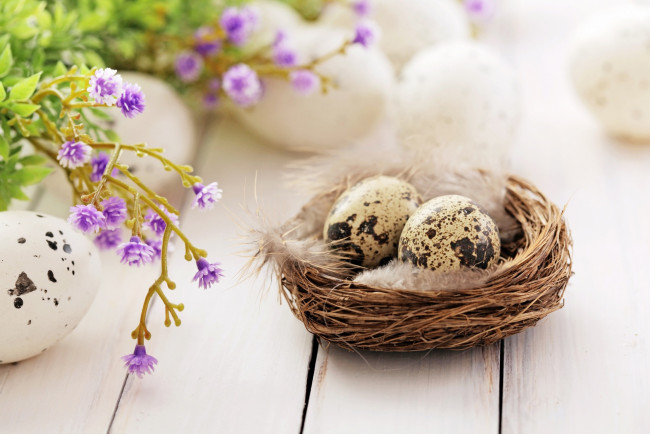 Обои картинки фото праздничные, пасха, яйцо, цветы, гнездо