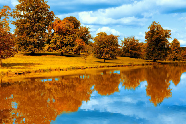 Обои картинки фото природа, реки, озера, река, вода, деревья, осень, отражение