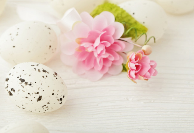 Обои картинки фото праздничные, пасха, яйцо, цветок