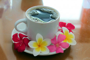 Картинка еда кофе +кофейные+зёрна плюмерия чашка