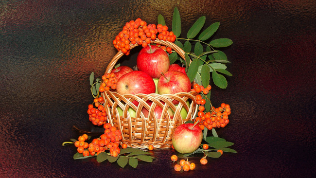 Обои картинки фото еда, фрукты,  ягоды, яблоки, натюрморт, корзинка, рябина, авторское, фото, елена, аникина