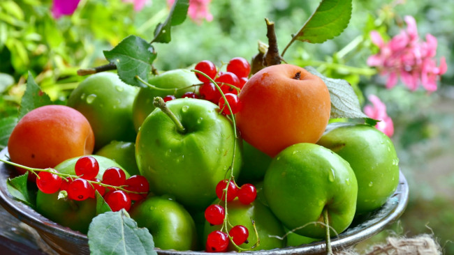 Обои картинки фото еда, фрукты,  ягоды, яблоки, смородина