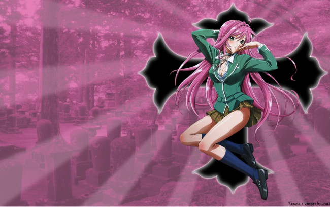 Обои картинки фото аниме, rosario, vampire